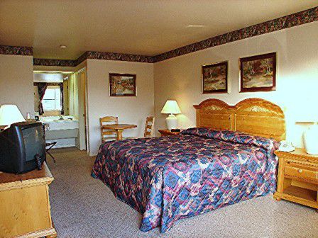 Lakeside Inn & Suites Mathis Room photo